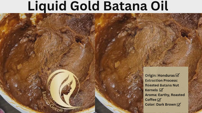 Batana Oil from Honduras Wholesale